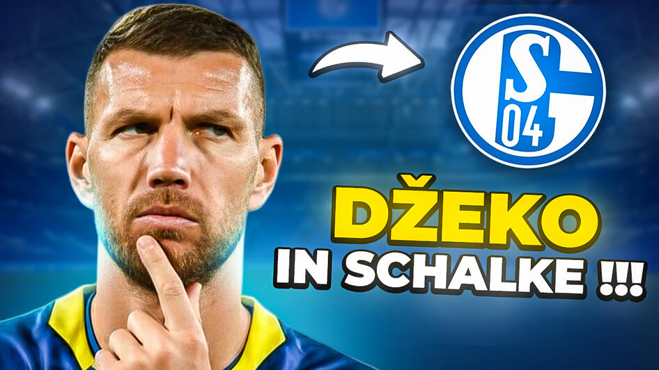 DZEKO in Schalke !?